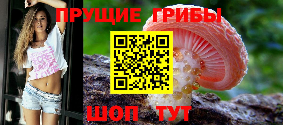 Галлюциногенные грибы Cubensis Мурманск